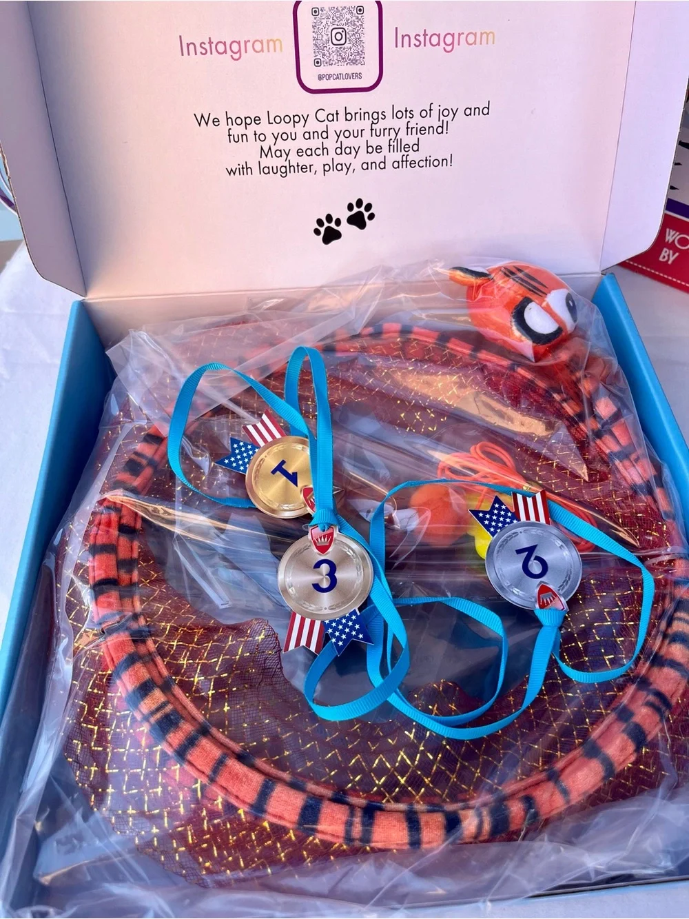 LOOPY CAT Olympic kit 5 Toys in 1 Box Interactive Cat Toy Set - Tunnel, Wand, Su